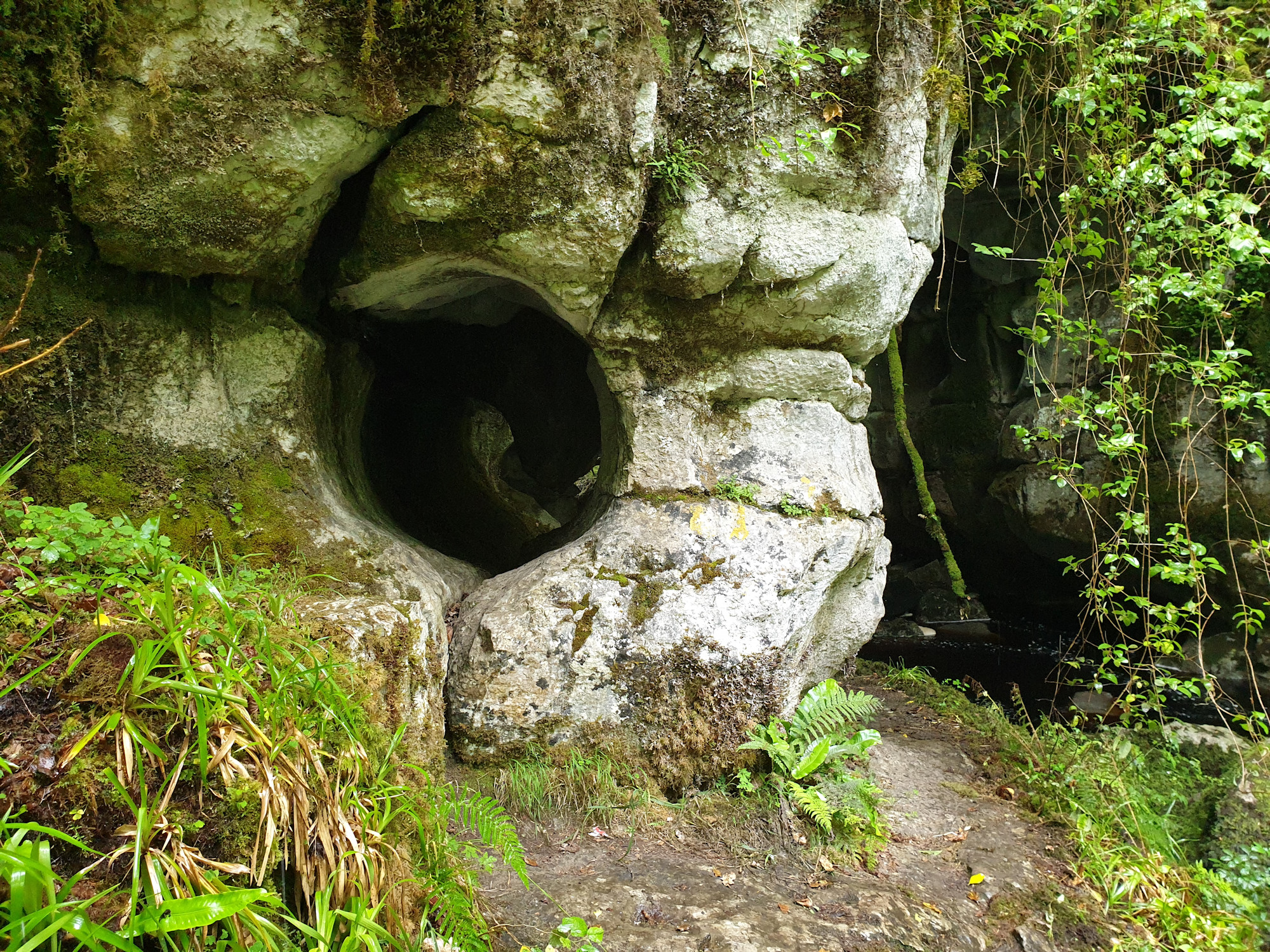 Fließform am Marble Arch, der Naturbrücke am Austritt des Höhlenbaches (Foto: Martina Simmert)
