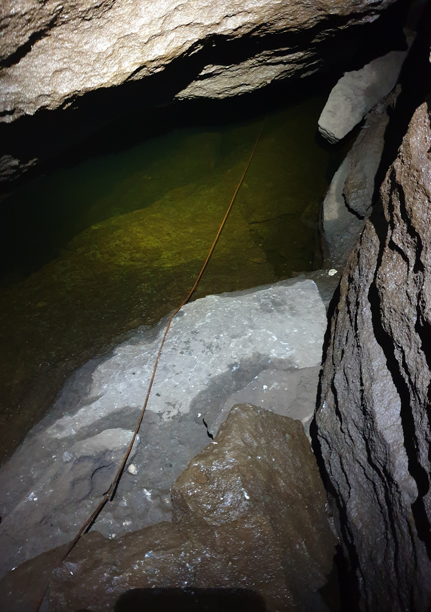 Im grünlichen Wasser verliert sich die Tauchleine in der Tiefe (Foto: Hartmut Simmert)